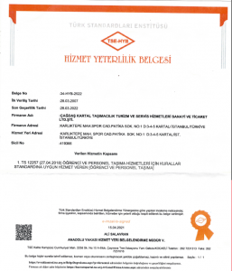 tse-yeterlilik